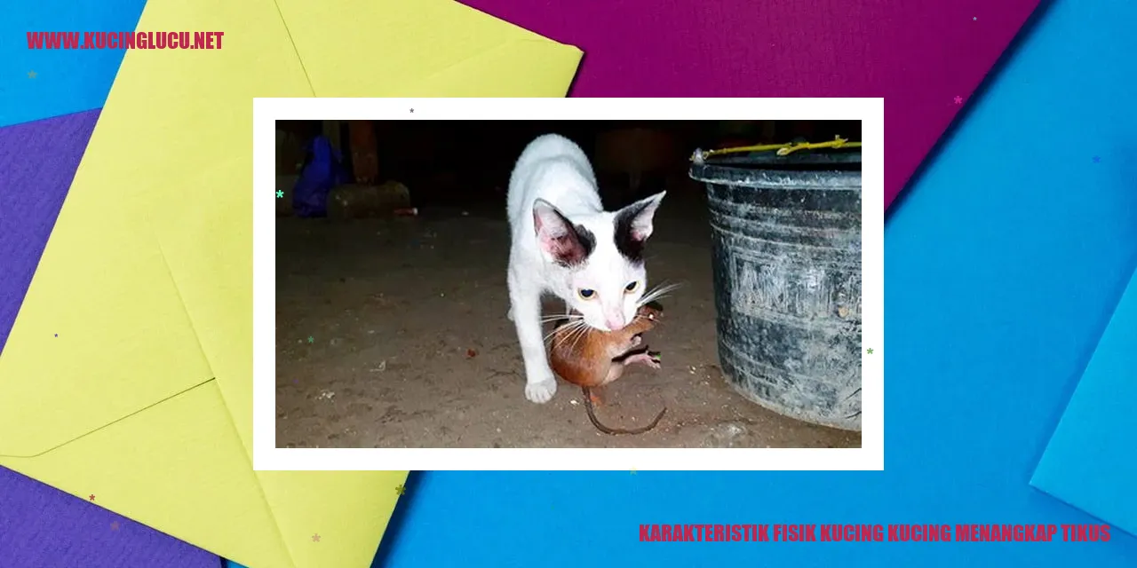 Kucing Menangkap Tikus