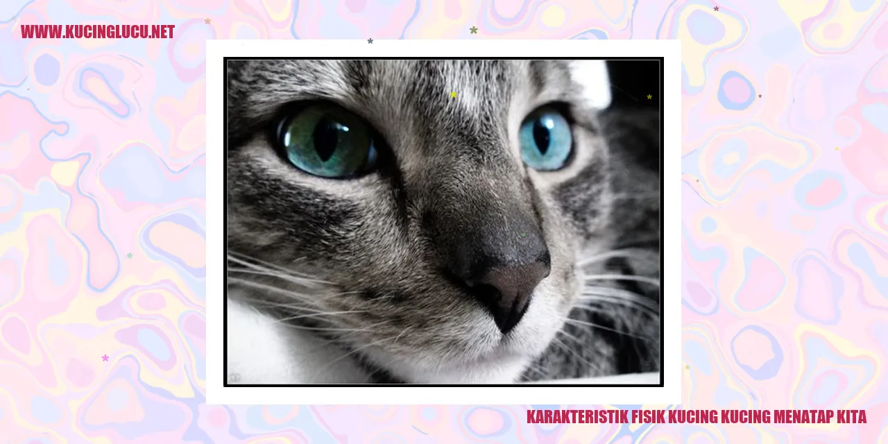 Karakteristik Fisik Kucing