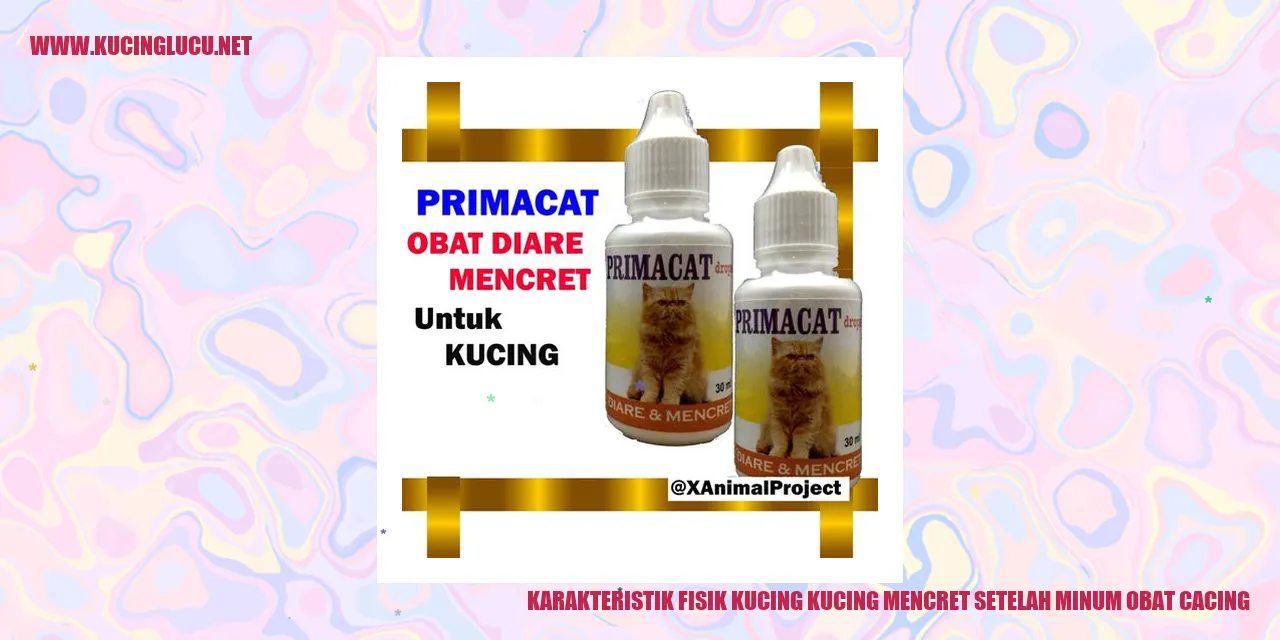 Karakteristik Fisik Kucing