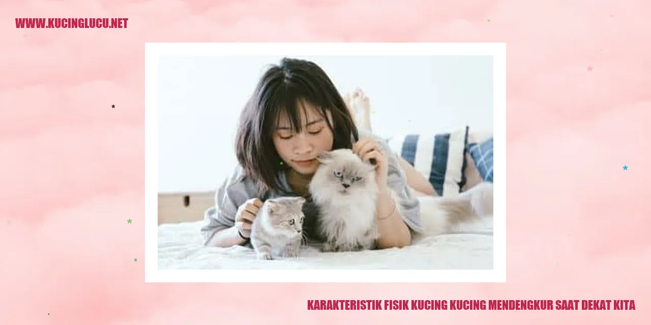 Karakteristik Fisik Kucing: Mengapa Kucing Mendengkur Saat Dekat Kita?