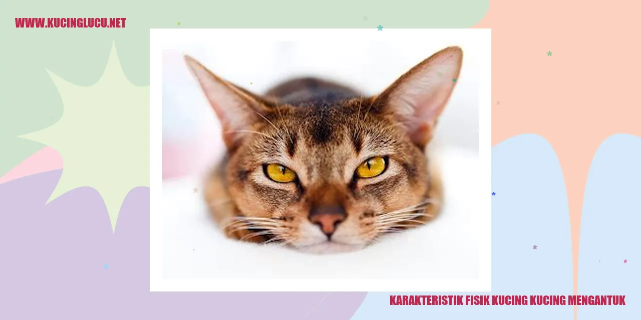 Kepribadian Fisik Kucing yang Penuh Cerita