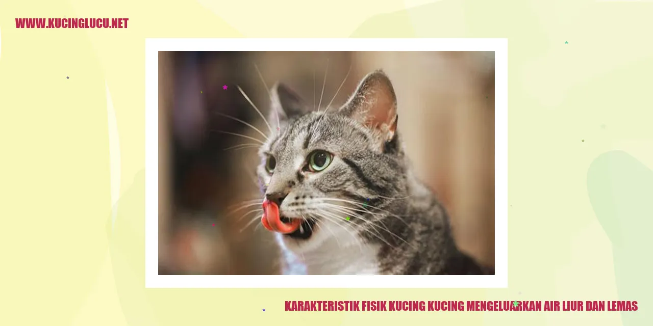 gambar kucing