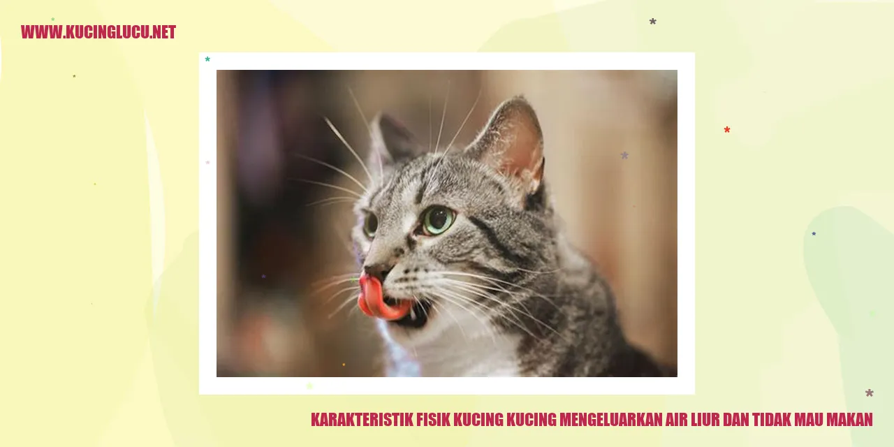 Gambar Kucing