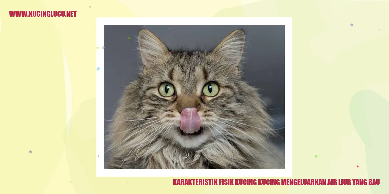 Kucing Mengeluarkan Air Liur yang Bau