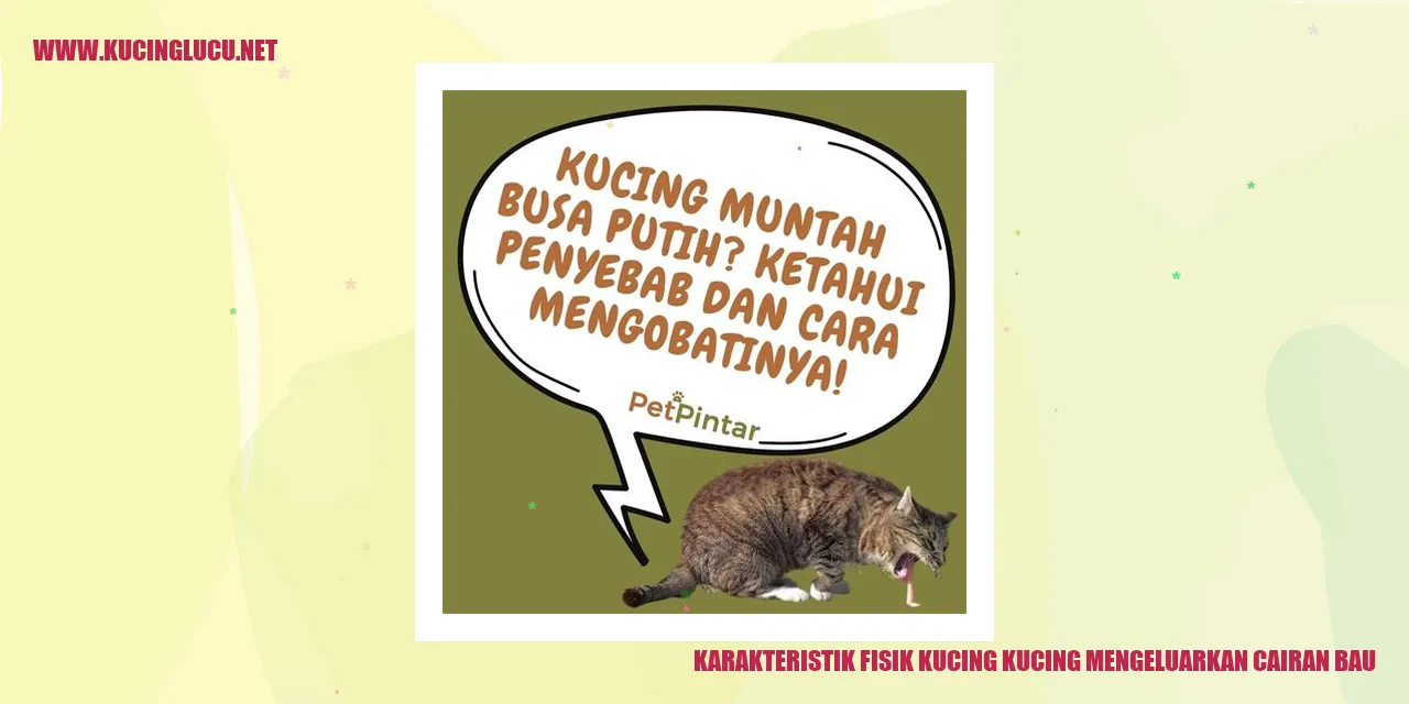 Karakteristik Fisik Kucing