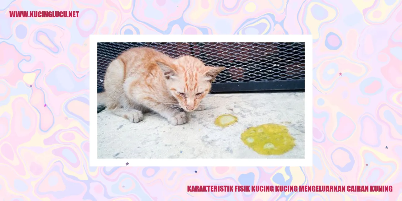 Karakteristik Fisik Kucing