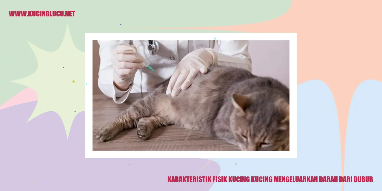 Karakteristik Fisik Kucing