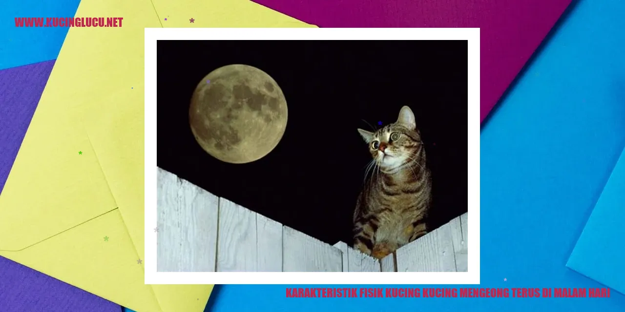Karakteristik Fisik Kucing