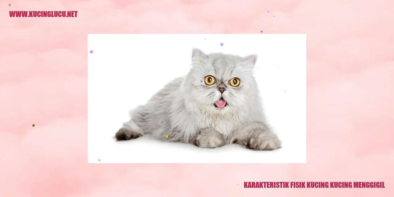 Gambar Kucing Menggigil