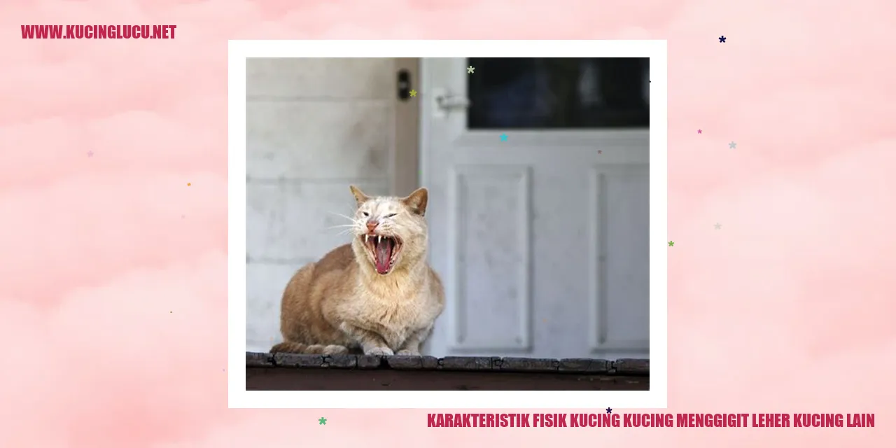 Karakteristik Fisik Kucing
