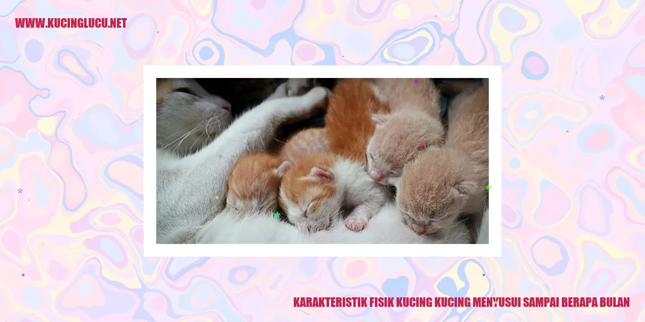 Karakteristik Fisik Kucing