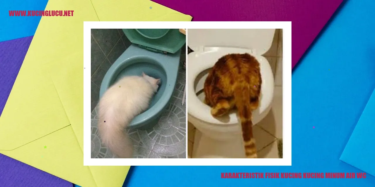 Gambar Kucing