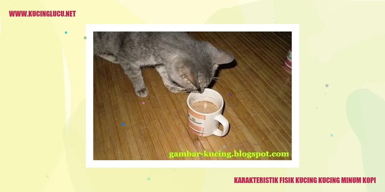 Karakteristik Fisik Kucing yang Meminum Kopi