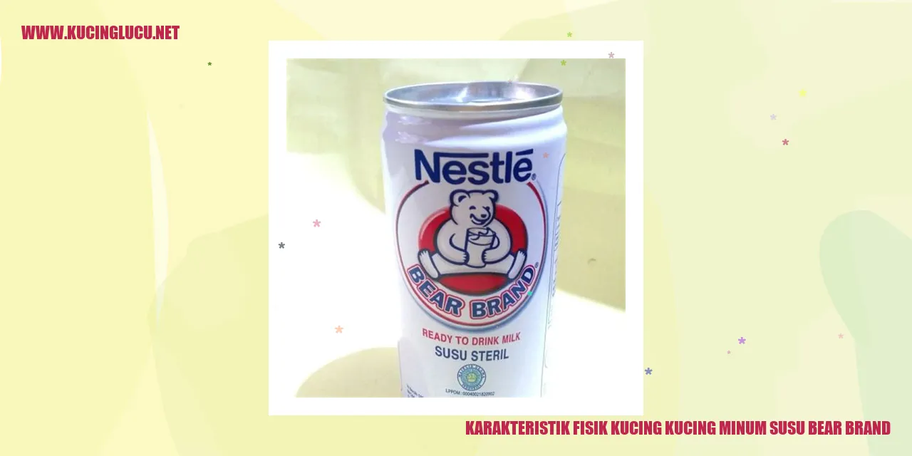 Gambar kucing yang minum susu Bear Brand