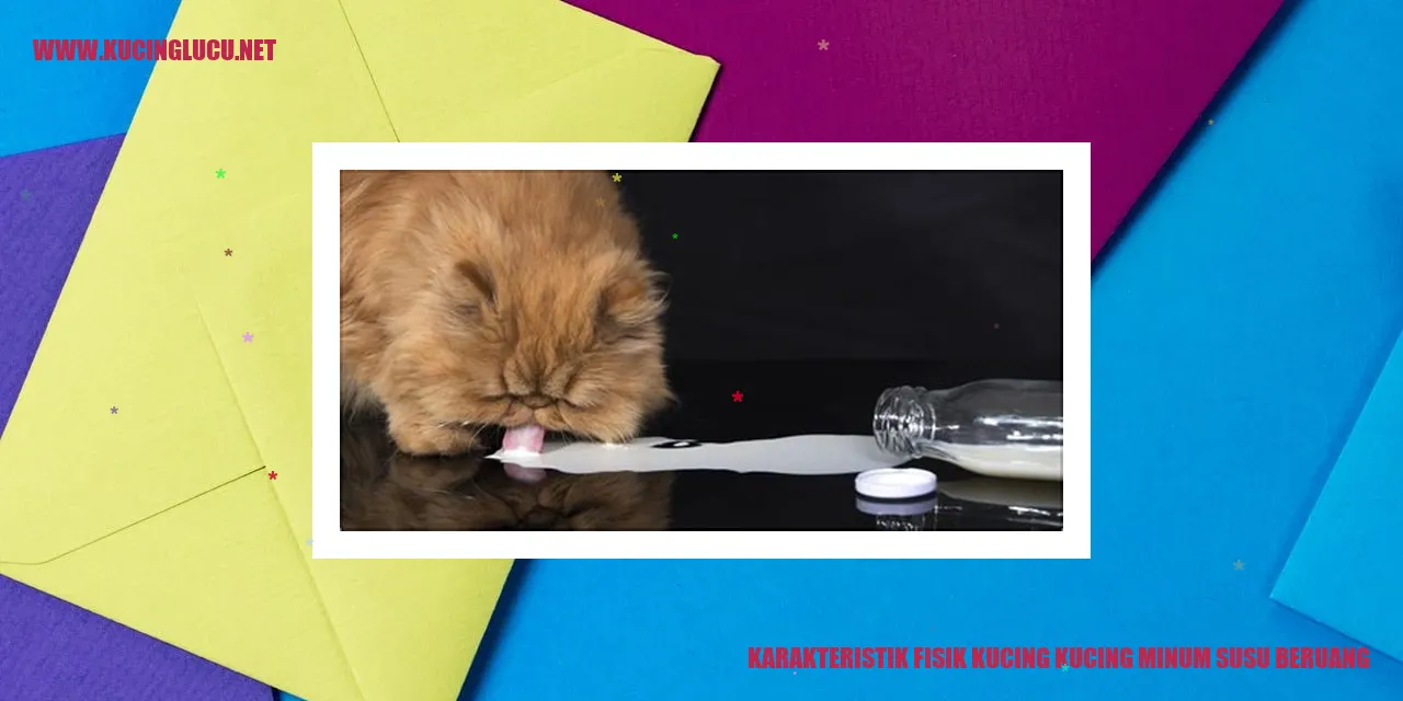 Gambar Kucing