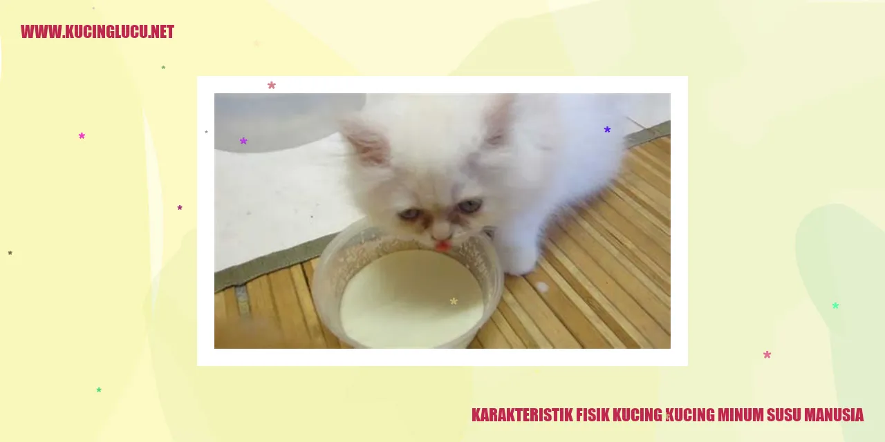 Kucing yang Minum Susu Manusia