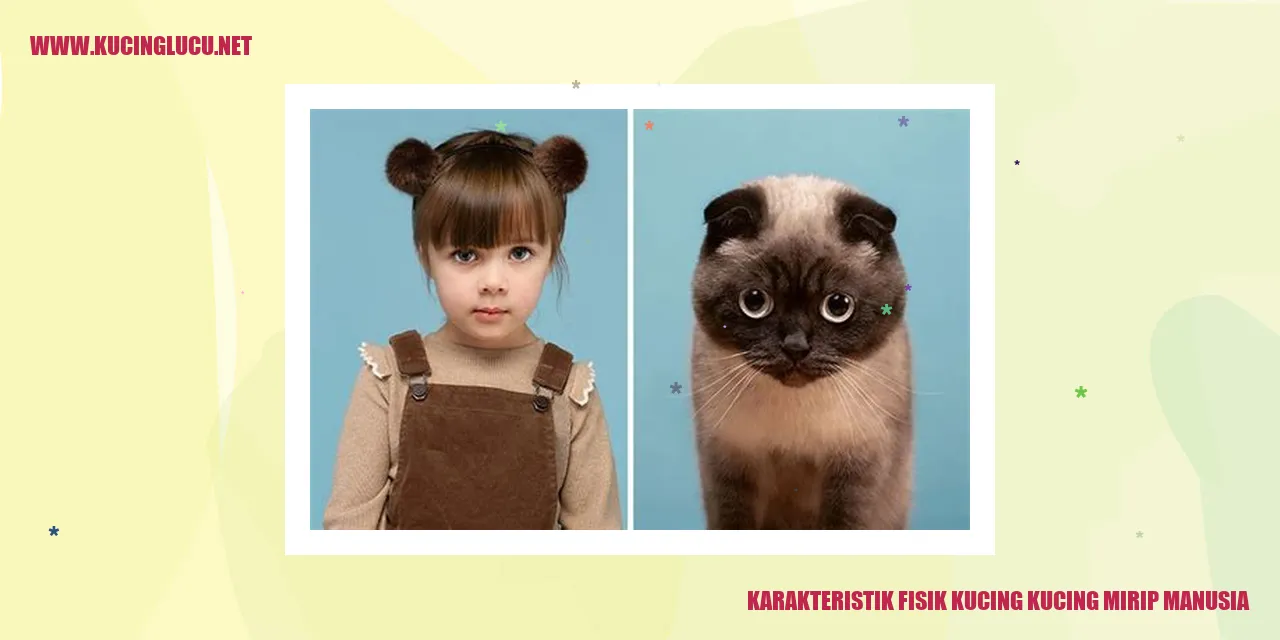 Karakteristik Fisik Kucing kucing mirip manusia