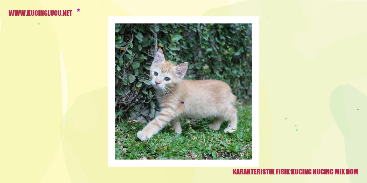 Karakteristik Fisik Kucing