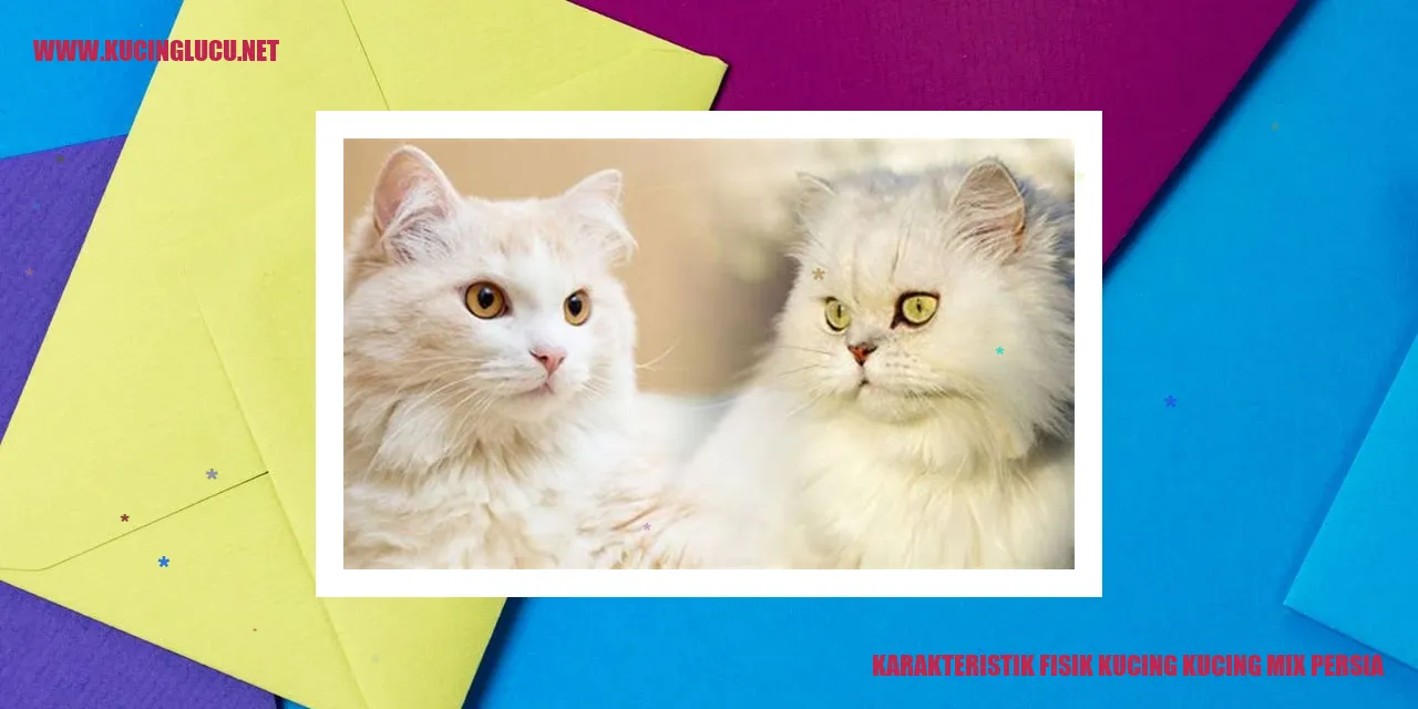 Karakteristik Fisik Kucing Kombinasi Persia
