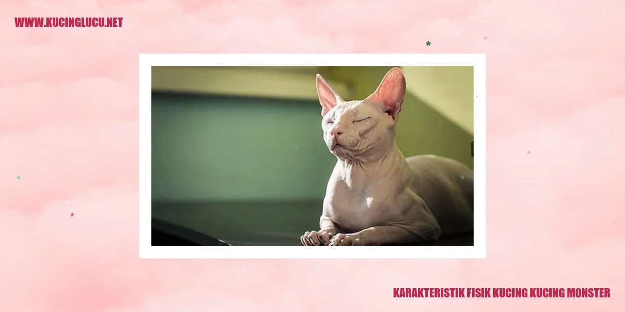 Gambar kucing monster