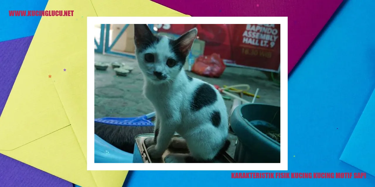Kucing dengan motif sapi
