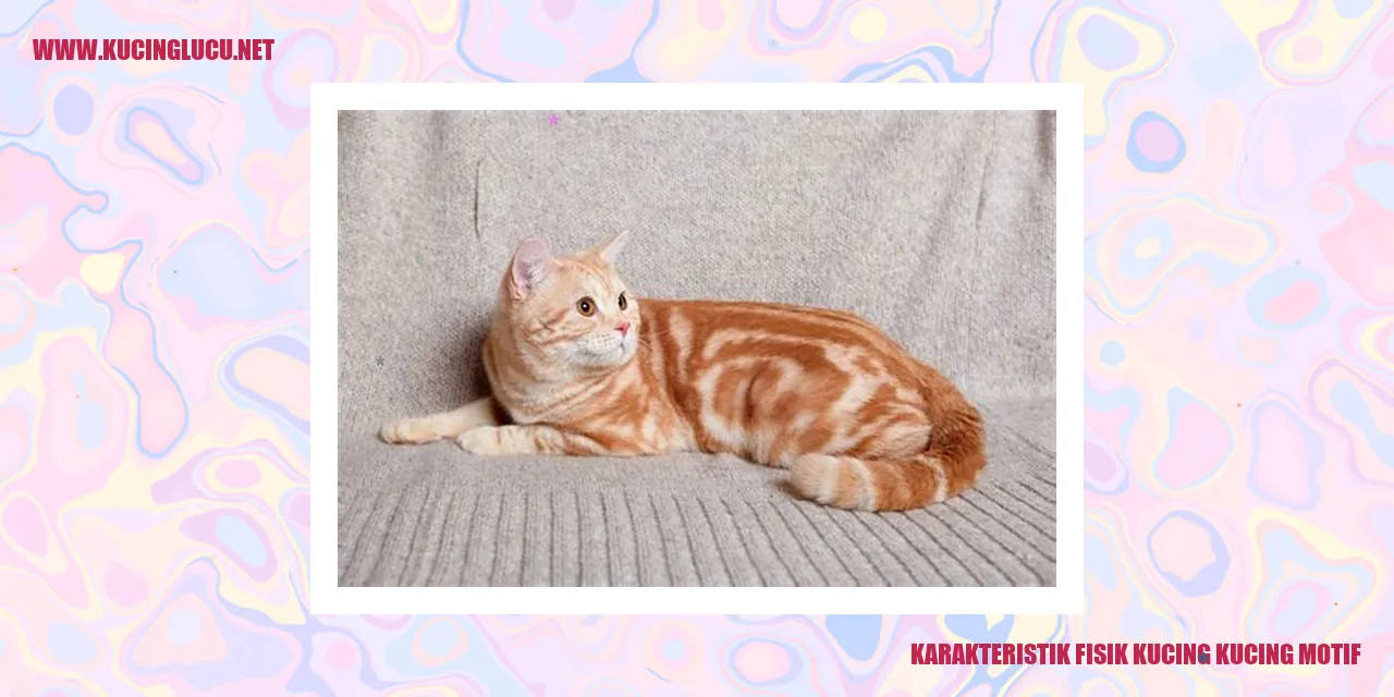 Karakteristik Fisik Kucing Kucing Motif