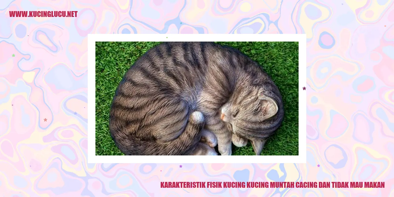 Karakteristik Fisik Kucing
