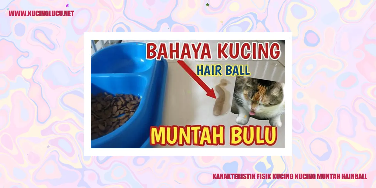 Karakteristik Fisik Kucing Muntah Hairball