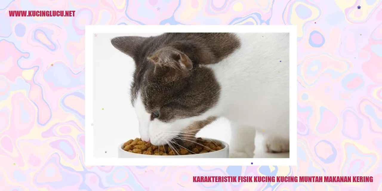 Karakteristik Fisik Kucing kucing muntah makanan kering