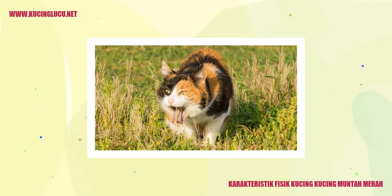 Gambar Kucing yang Muntah Merah