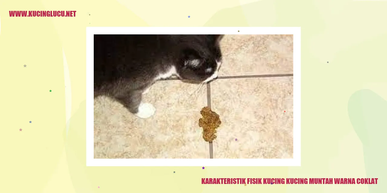 Kucing Muntah Warna Coklat