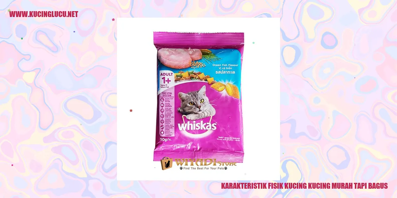 Karakteristik Fisik Kucing murah tapi bagus