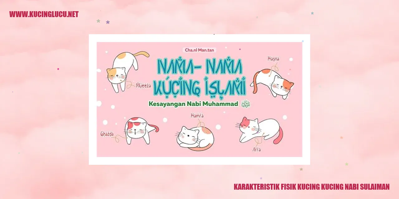 Karakteristik Fisik Kucing Ras Sulaiman