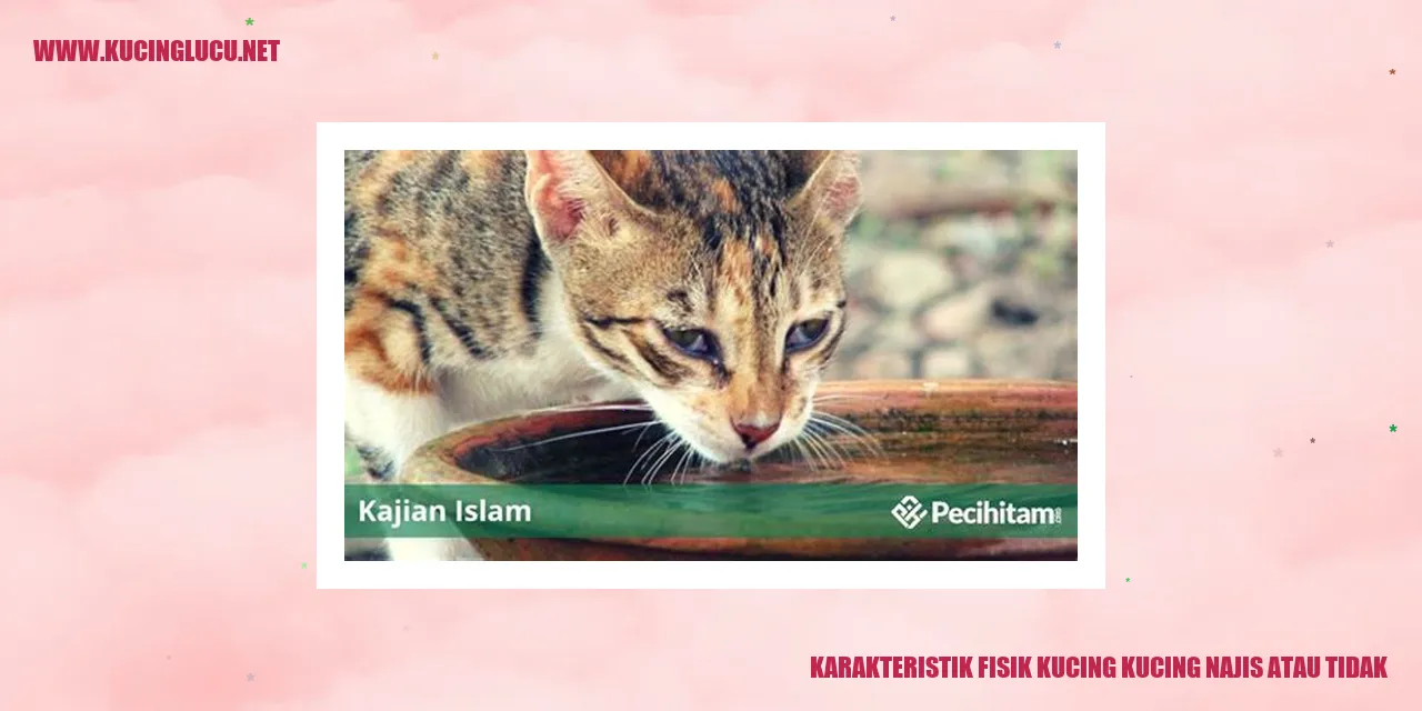 Gambar kucing yang berkaitan