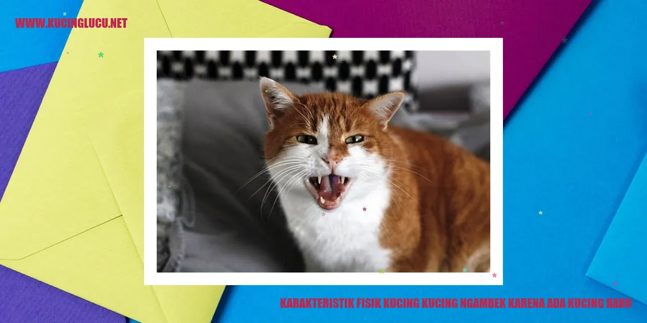 Karakteristik Fisik Kucing