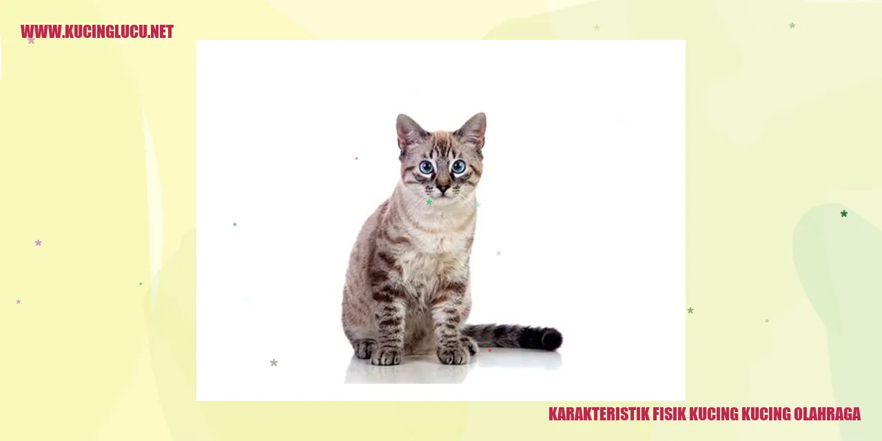 Tampak Fisik Kucing Olahraga yang Memukau