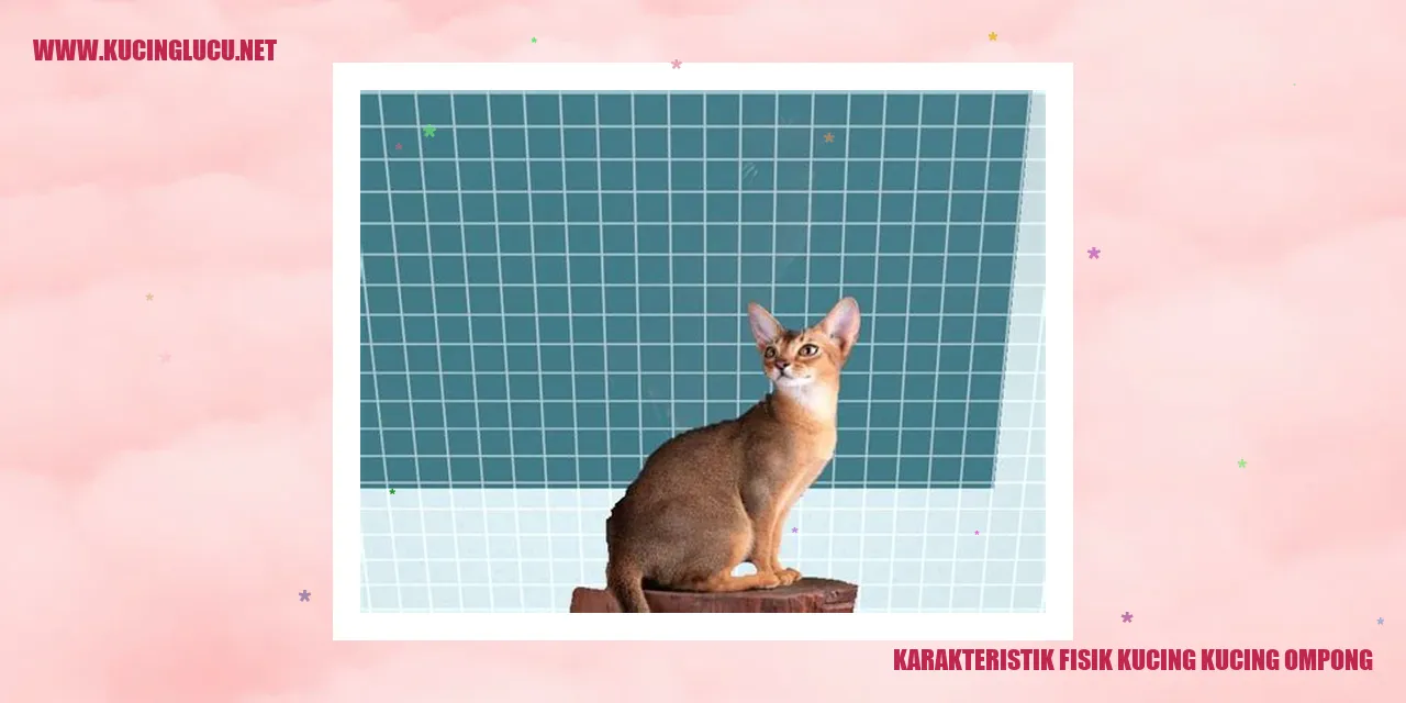 Kucing Ompong