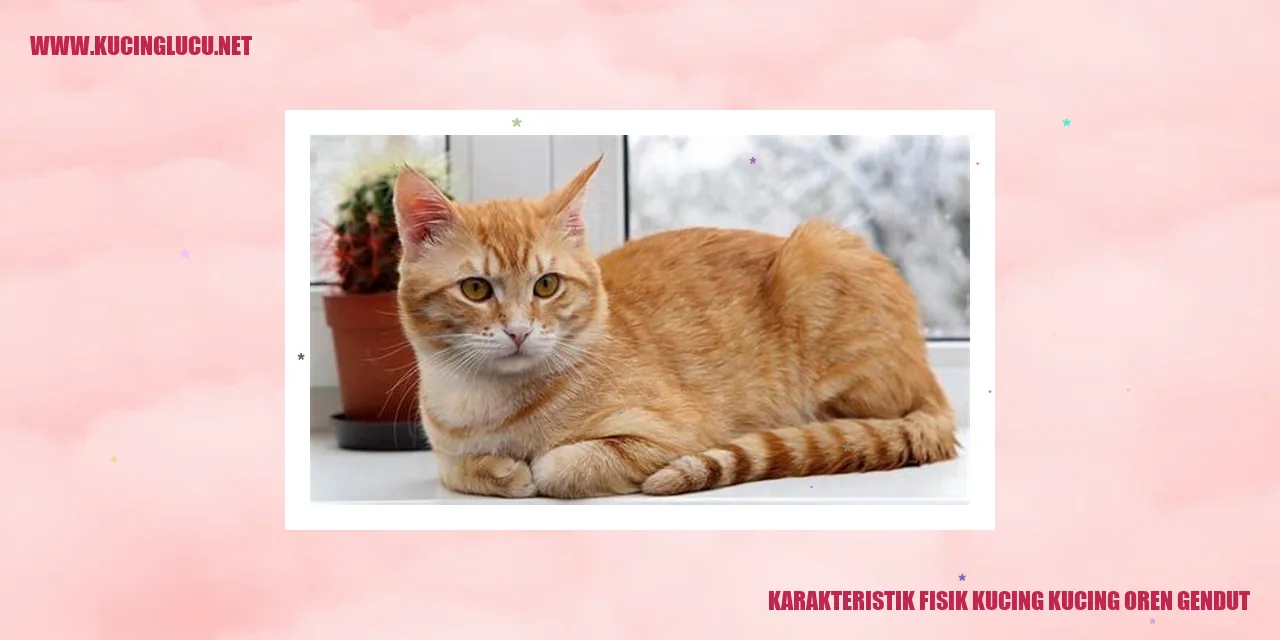 Kucing Bulu Oren yang Menggemaskan
