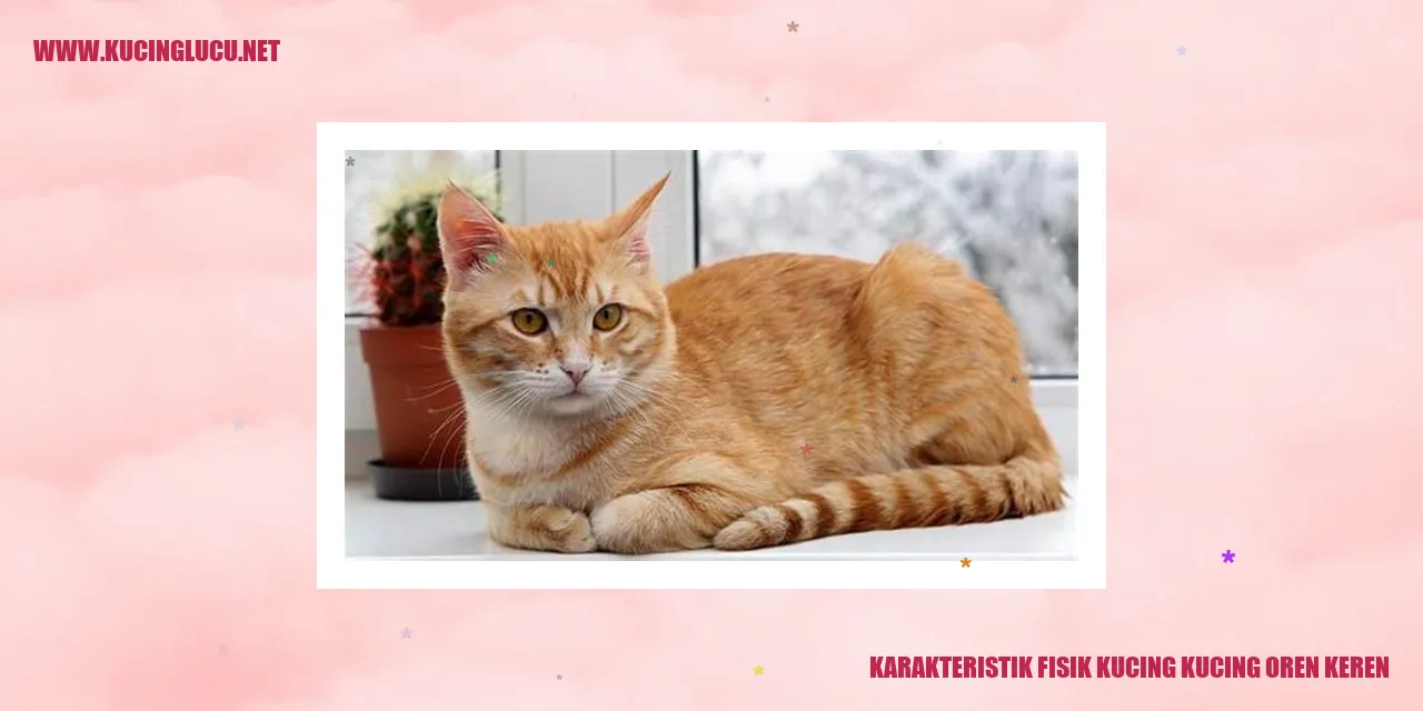 gambar kucing oren yang memukau
