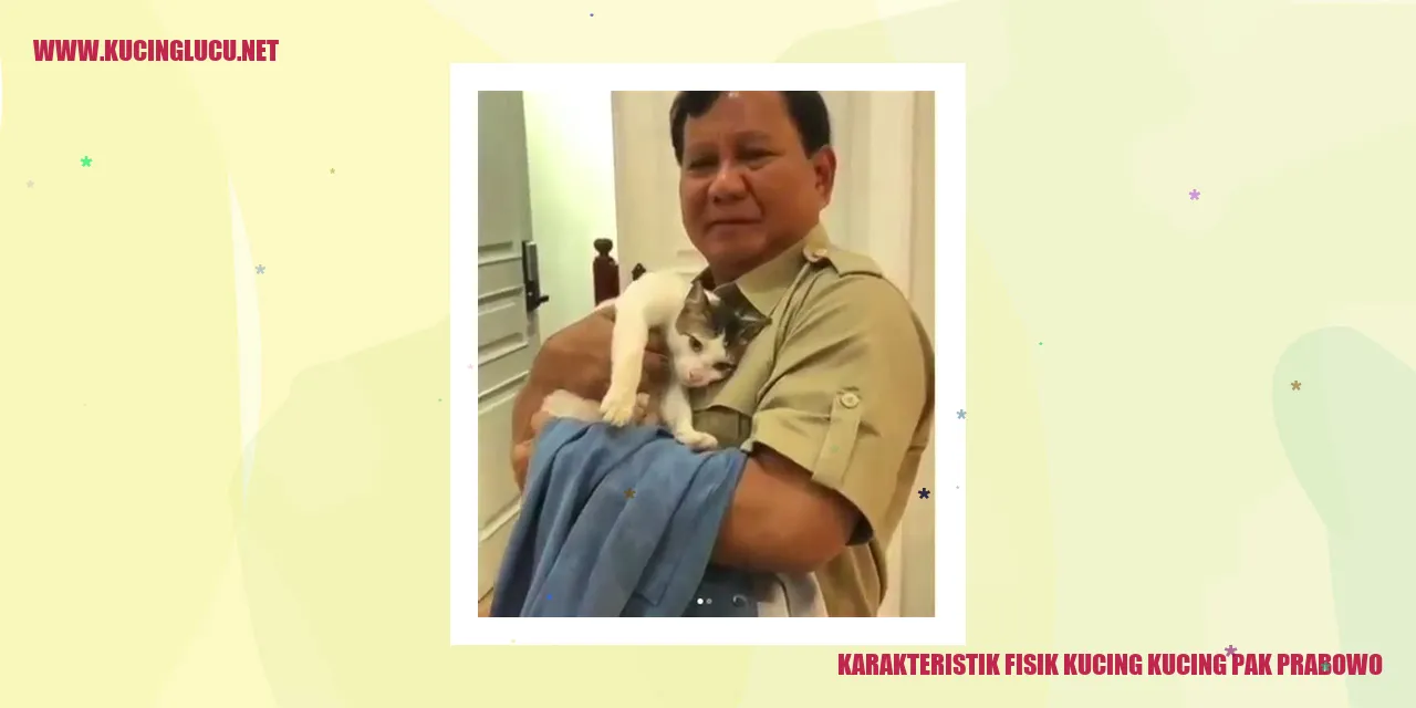 Karakteristik Fisik Kucing Kucing Pak Prabowo
