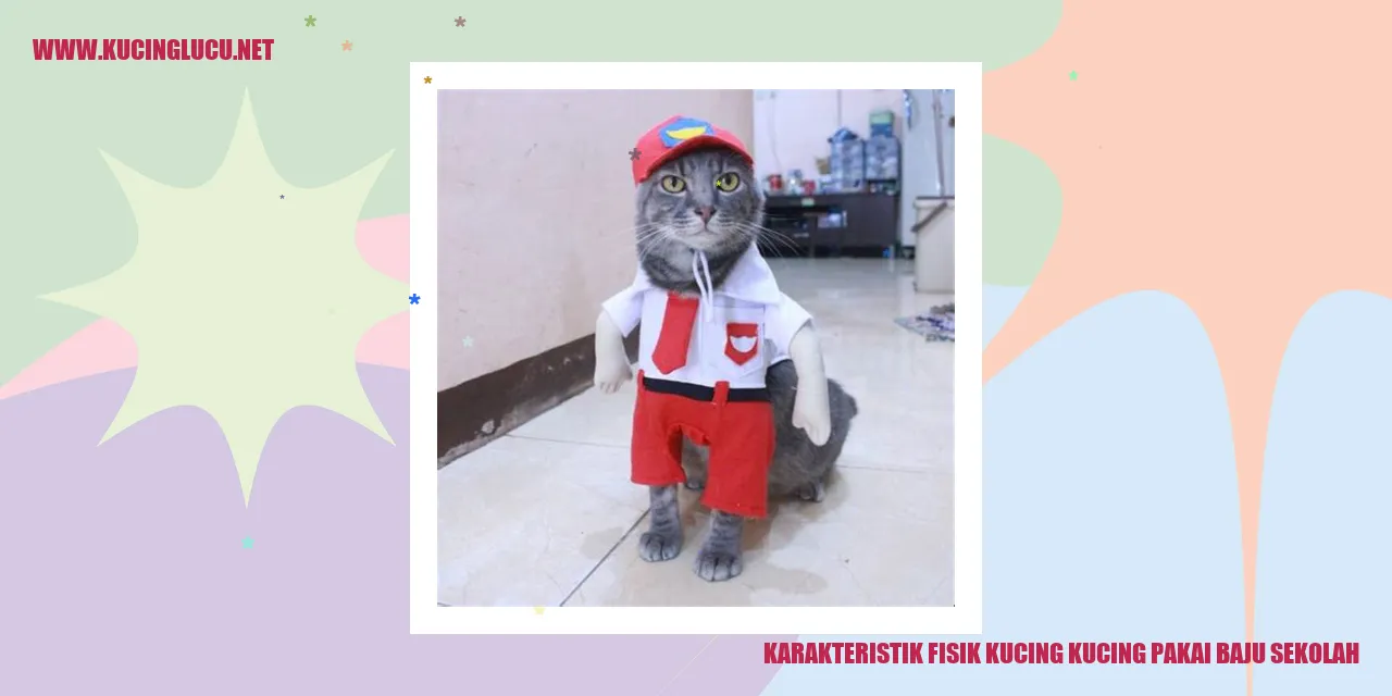 gambar kucing pakai baju sekolah