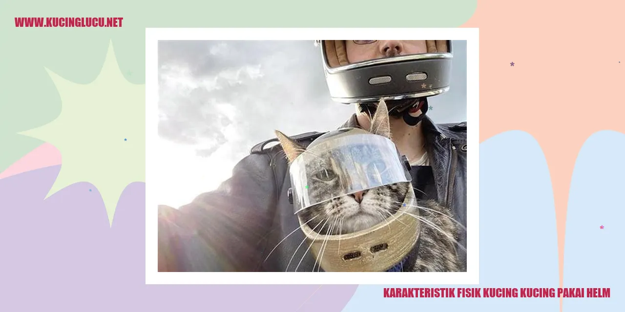 Karakteristik Fisik Kucing
