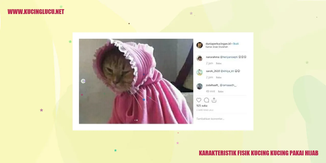Karakteristik Fisik Kucing Berhijab