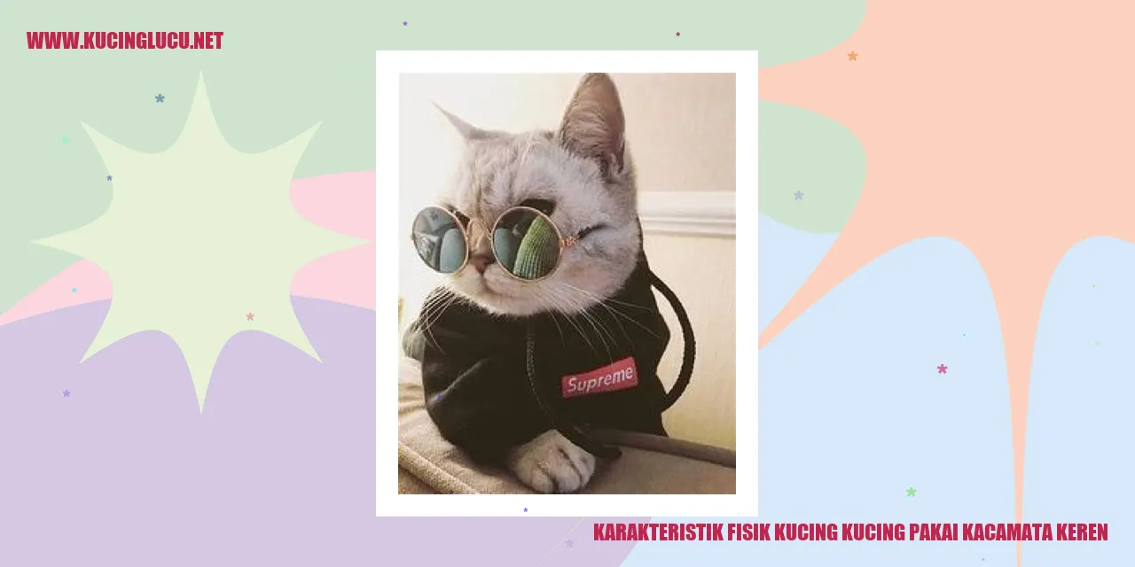 Karakteristik Fisik Kucing