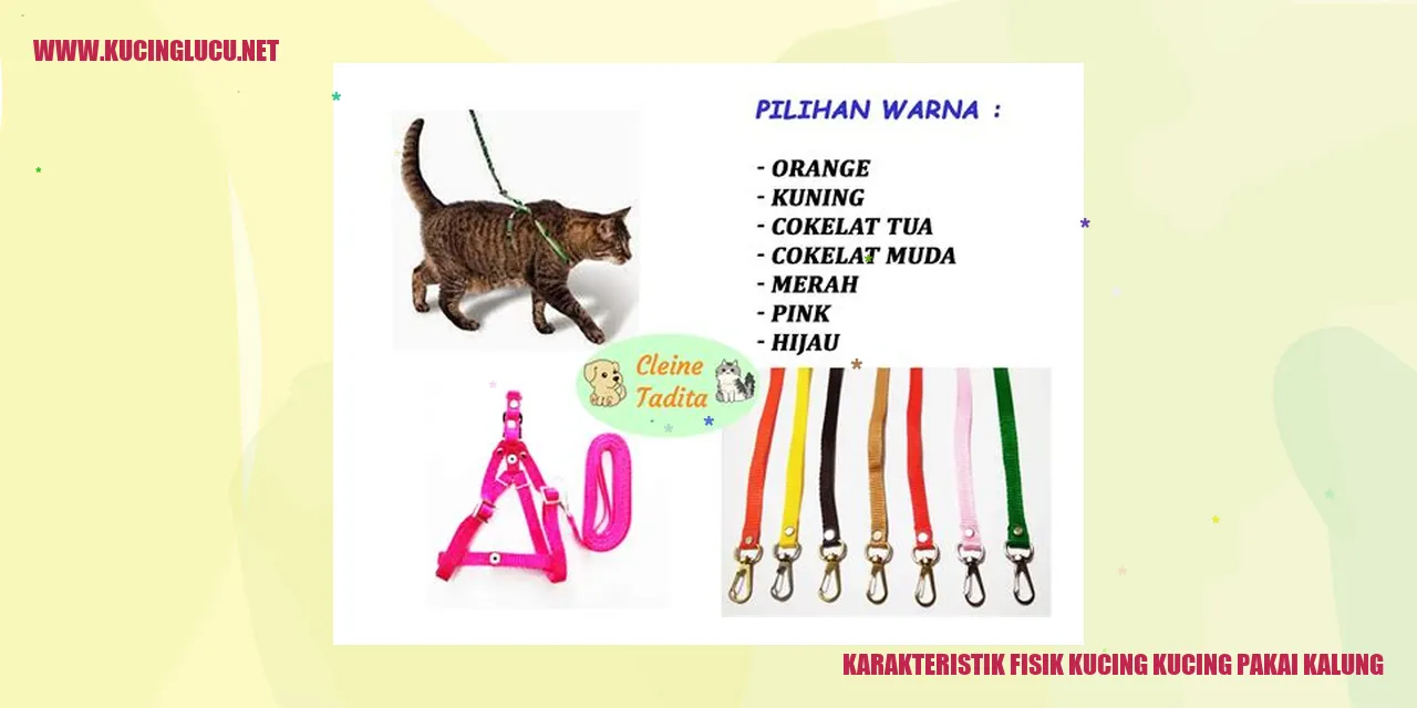Karakteristik Fisik Kucing Kucing Pakai Kalung