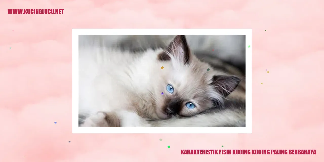 Karakteristik Fisik Kucing Paling Berbahaya