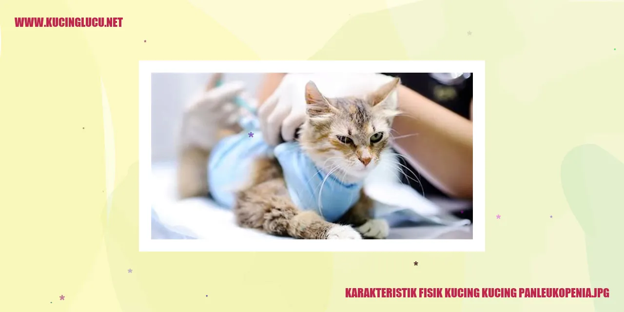 Karakteristik Fisik Kucing Panleukopenia