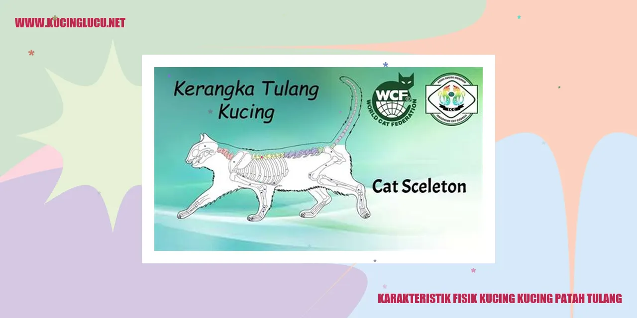Kucing dengan patah tulang