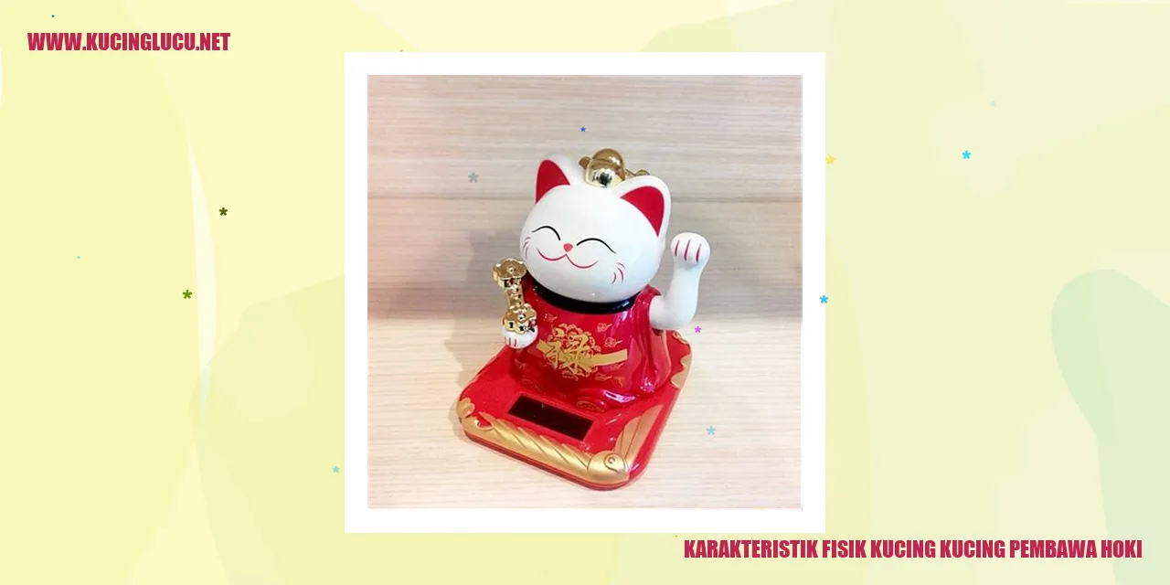 Karakteristik Fisik Kucing Pembawa Hoki
