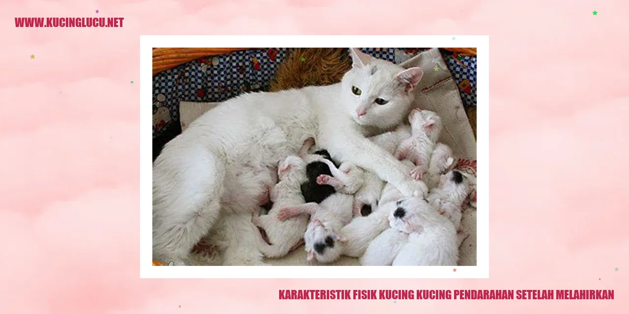 Gambar Kucing Menjaga Bayinya